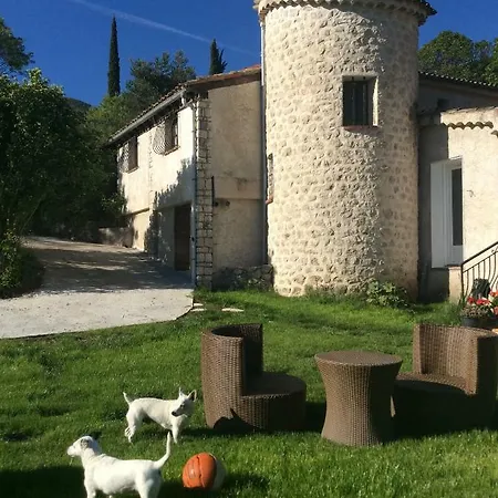Apartment Clot De Felines